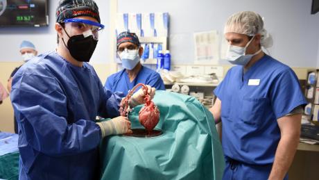 Why this modified pig heart transplant is a huge deal