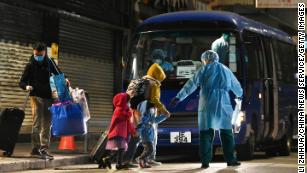 Hongkongers launch hamster rescue mission after Covid cull declared, Hong  Kong