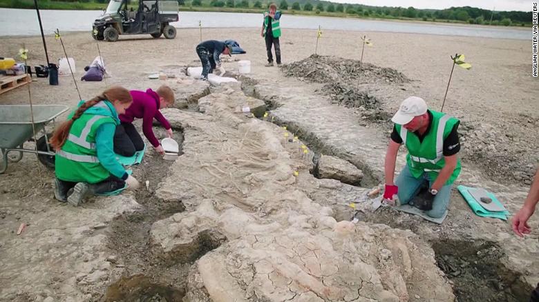 See the massive fossil being excavated in UK reservoir