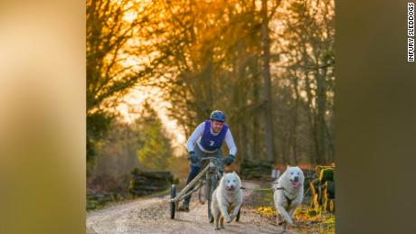 Hodgson and team race through the New Forest in southern England.