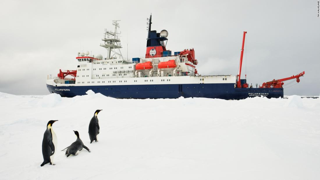 The icebreaker Polarstern has been exploring the Weddell Sea in Antarctica since the early 1980s. 