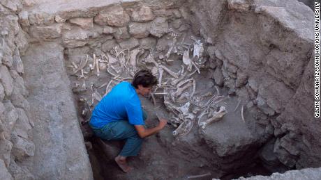 Jill Weber, an author of the study, excavating equid burials at Umm el-Marra, Syria. © Glenn Schwartz / John Hopkins University.
