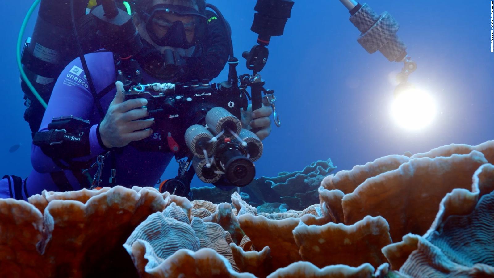 One of the largest pristine coral reefs discovered! , subscribe to News Without Politics, unbiased news source, follow us