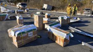 Crates holding live monkeys are scattered across the westbound lanes of state Route 54 at the junction with Interstate 80 near Danville, Pa., Friday, Jan. 21, 2022, after a pickup pulling a trailer carrying the monkeys was hit by a dump truck. They were transporting 100 monkeys and several were on the loose at the time of the photo. 