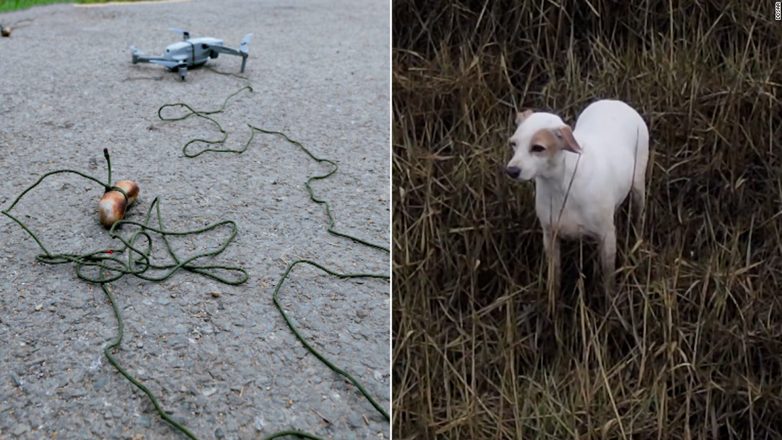 Drones lure rescue dog to safety with sausages