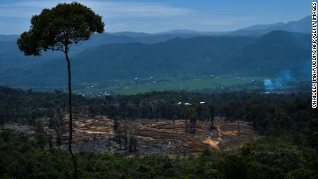 A land clearing area near protected forest in Tangse, Aceh province, in Indonesia on July 27, 2019.