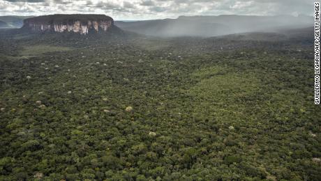An aerial view of part of the Amazon rainforest. Researchers noted that trees in South America are particularly vulnerable to the climate crisis.