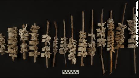 Examples of human vertebrae on posts, found in Peru&#39;s Chincha Valley, are shown.