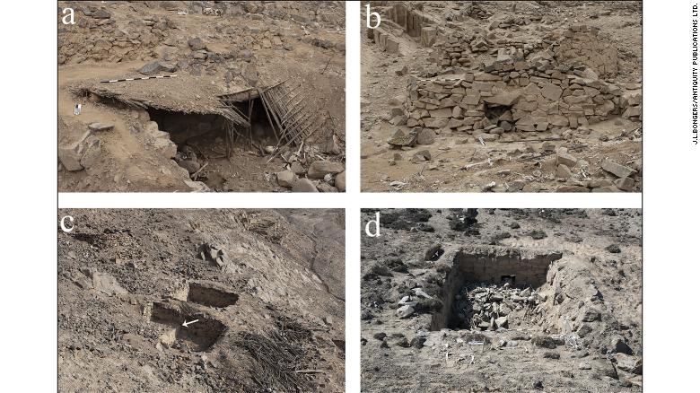 Indigenous graves known as &quot;chullpas,&quot; where the spines were threaded on posts, were discovered by archaeologists.