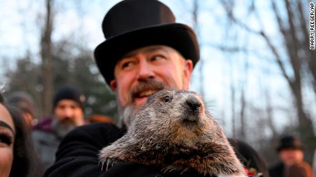 Punxsutawney Phil sees his shadow -- 6 more weeks of winter loom