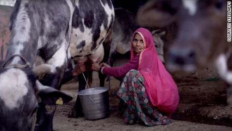 Dairy farming in indian investing news pengalaman belajar forex bahasa