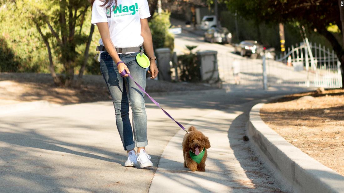 Wag, a dog-walking startup that once raised $300 million from a single investor, is going public through a SPAC