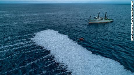 Los peces muertos formaron una enorme alfombra blanca en el Golfo de Vizcaya, frente a la costa de La Rochelle