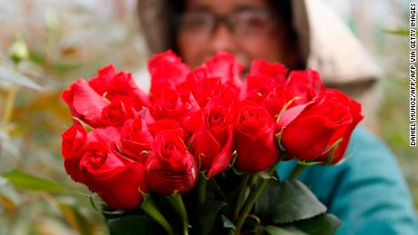 De Colombia para el mundo: el mercado de flores despega en San Valentín -  CNN Video