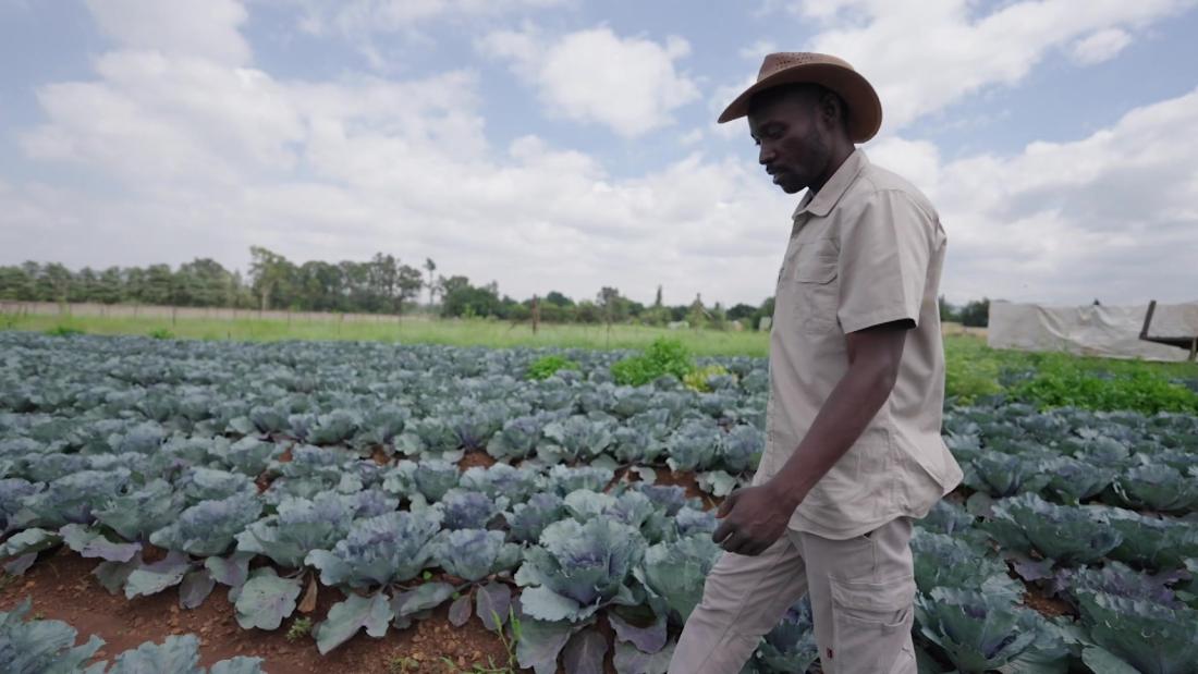 These African farmers and entrepreneurs are planting seeds for a brighter future – CNN Video