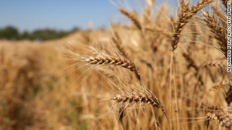 Wheat and corn prices could jump if Russia invades Ukraine