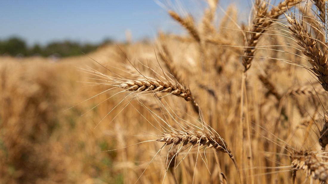 Wheat and corn prices could jump if Russia invades Ukraine