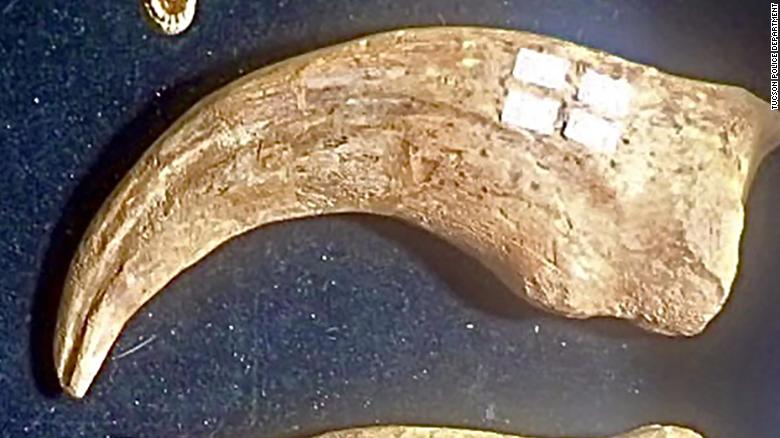 Man charged after allegedly stealing dinosaur claw from Arizona gem show