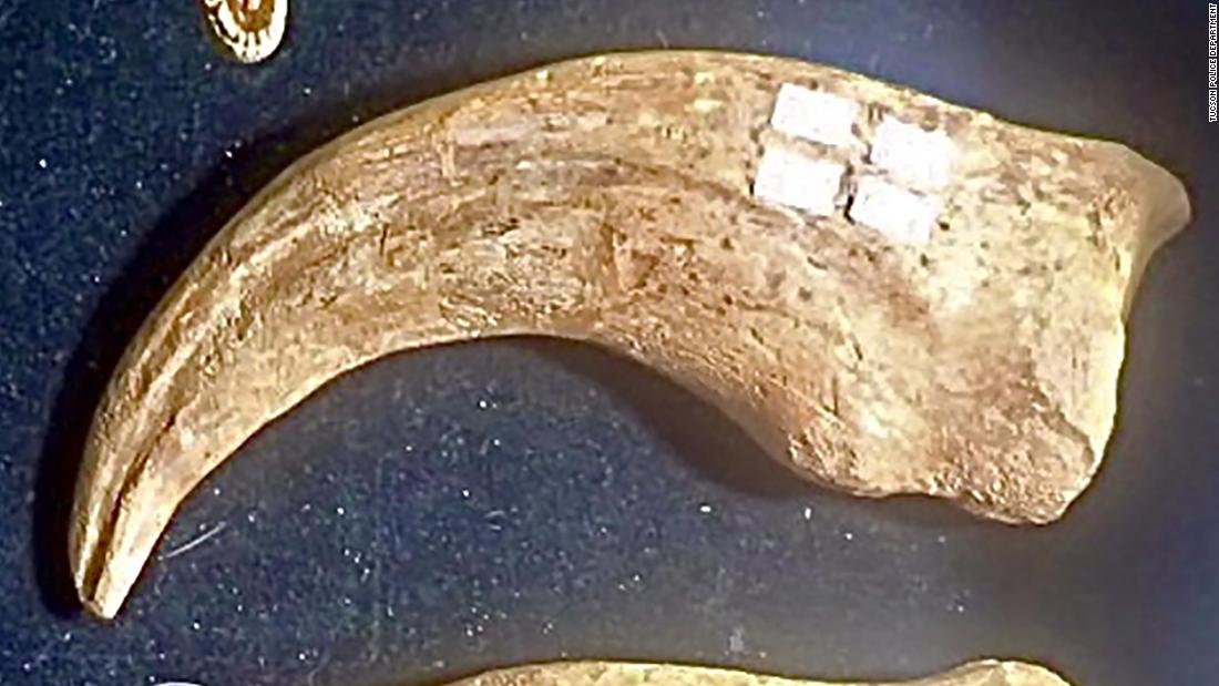 Man charged after allegedly stealing dinosaur claw from Arizona gem show