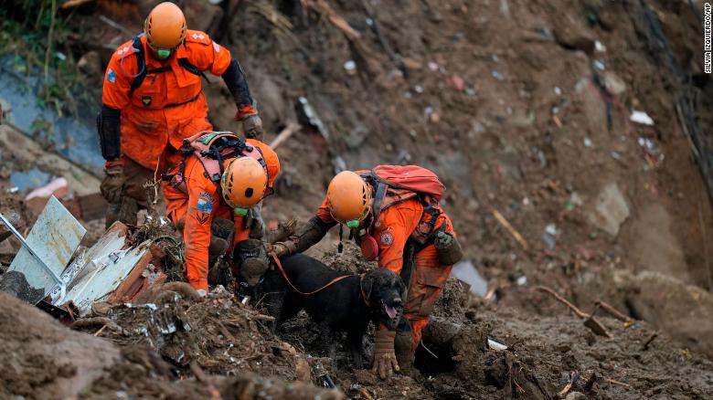 Rescuers use a sniffer dog to search for survivors.