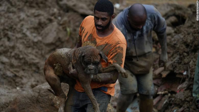 A man carries a dog away from an affected area.