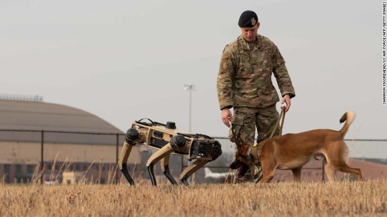 This image released by the US Air Force in 2020 shows US Air Force Staff Sgt Carmen Pontello introducing Hammer, a working dog, to the Ghost Robotics Vision 60 at Scott Air Force Base in Illinois.