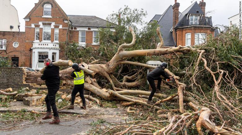 A large tree fell after high winds battered an area of Battersea, London on Friday.