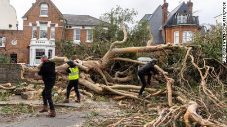 Un gran árbol cayó el viernes después de que fuertes vientos azotaran un área de Battersea, Londres.
