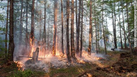 A forest fire in central Yakutia, Russia, in June 2020.