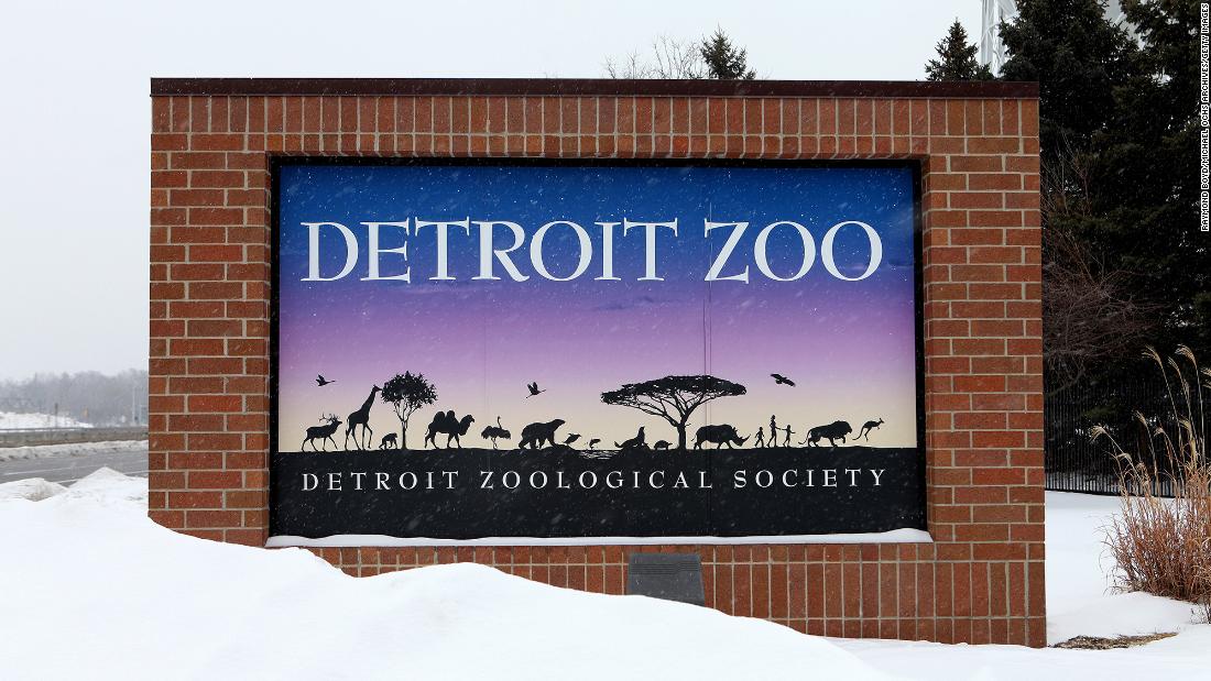 Detroit Zoo moves birds inside due to Avian Influenza concerns – CNN