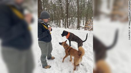 Ran Courant-Morgan of Boston hikes with new friends, thanks to connections made on social media with fellow dog lovers.