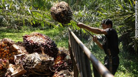 The latest food price shock: Palm oil prices are soaring