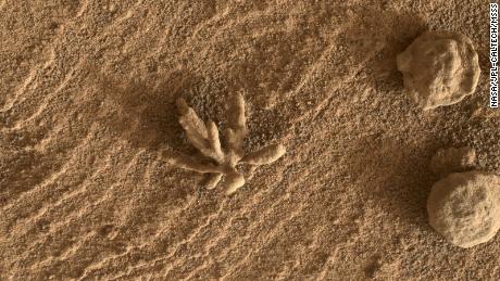 Pequeña formación de 'flor' vista en Marte por el rover Curiosity