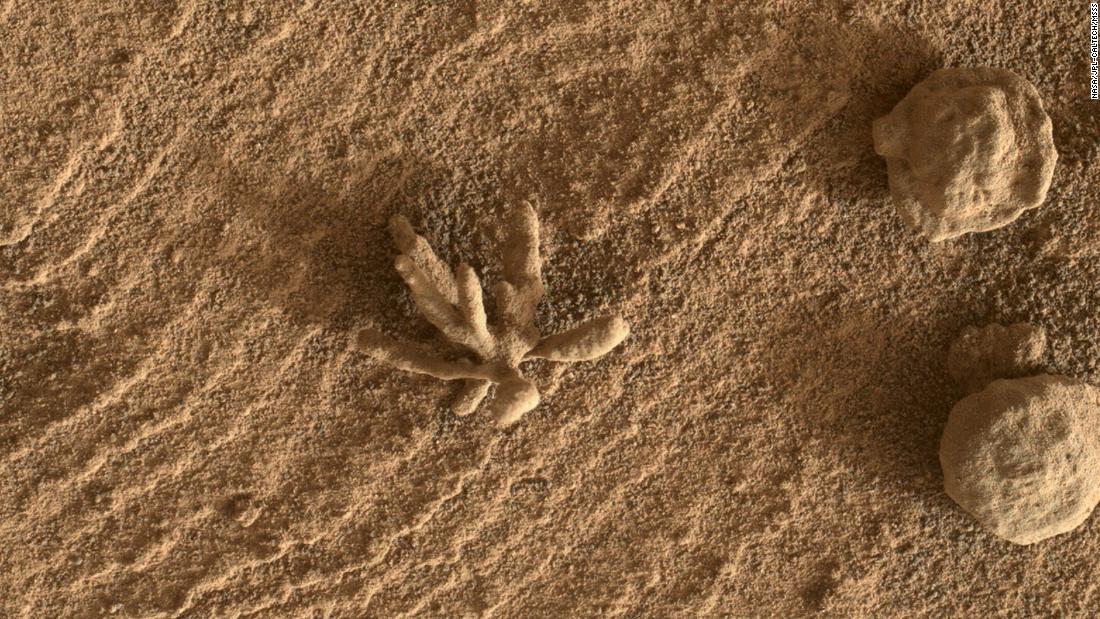 Una pequeña «flor» en Marte fue vista por un astronauta del Curiosity