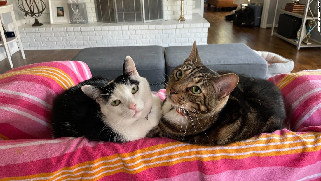 Cheese, right, and Crackers are &quot;constant companions along with their shy little brother, Nutella,&quot; their pet parent said. &quot;I even have them all tattooed on my arm, they&#39;re that important to me.&quot;