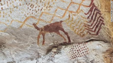 La pintura de camélidos en el sitio de pintura rupestre La Lindosa en Colombia. 