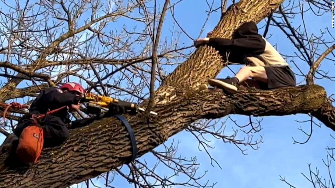 Good Samaritan teen needs rescuing after trying to save cat in tree – CNN Video