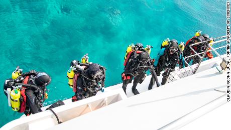 다이버들은 최근 탐험 중에 몰디브의 황혼 지대 암초를 탐험할 준비를 합니다.