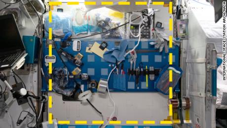 The dotted yellow line outlines a sample location for the Sampling Quadrangle Assemblages Research Experiment, part of the starboard workstation in the NASA Node 2 module (Harmony) on the International Space Station, photographed January 15.