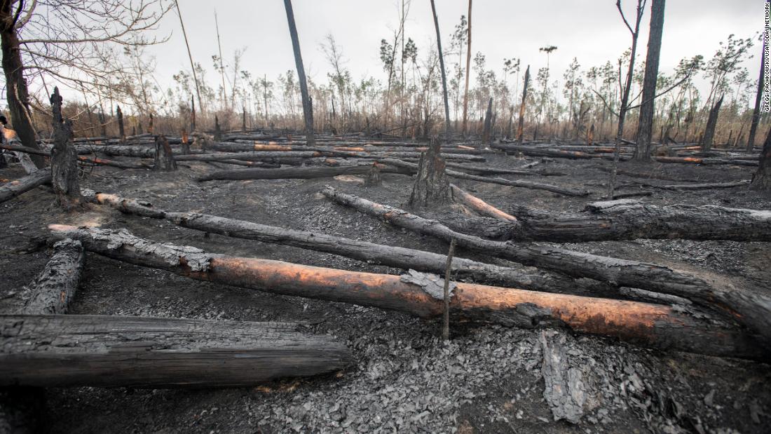 Two wildfires in the Florida Panhandle are now 95% contained, forest service says