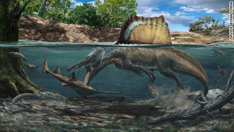 A dinosaur bigger than T. rex swam and hunted its prey underwater