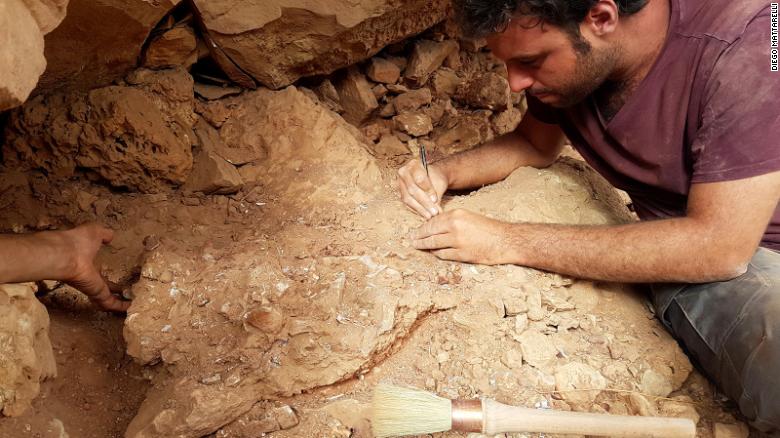 古生物学家 Matteo Fabbri 在野外研究化石。