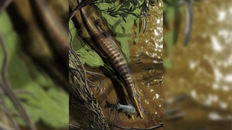 Baryonyx walkeri 的插图，一种来自英国的棘龙，狩猎和喂养。