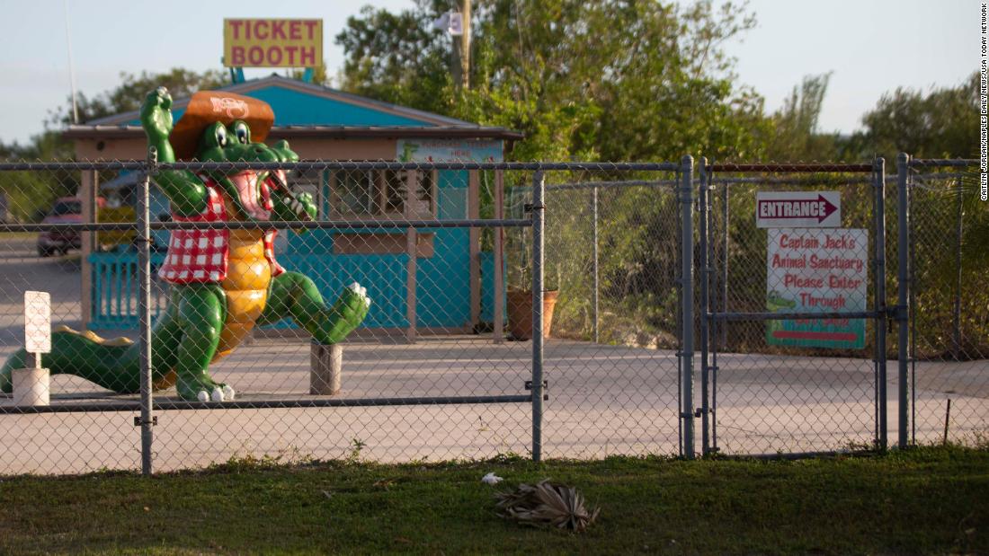 Tiger attack at Florida Everglades attraction injures employee