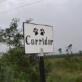 Corridor Sign Highway