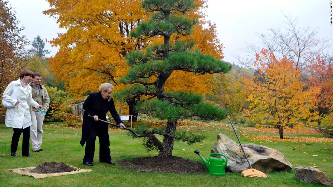 Albright helps plant a tree at a botanical garden in her native city of Prague, Czech Republic, in 2012.