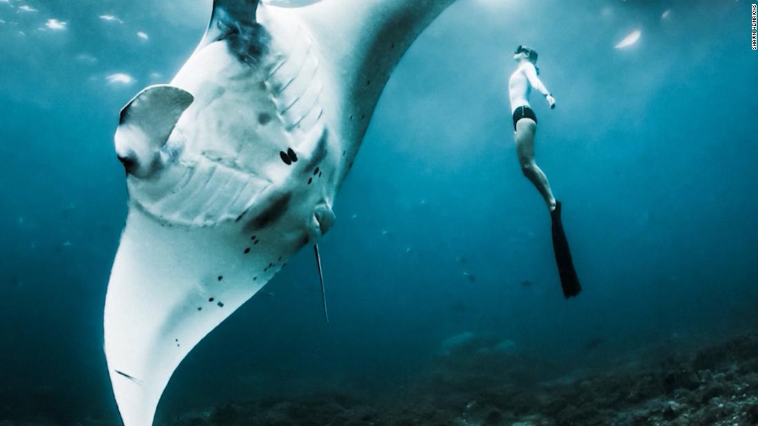 Cinematographer Shawn Heinrichs is inspiring people to protect our oceans – CNN Video