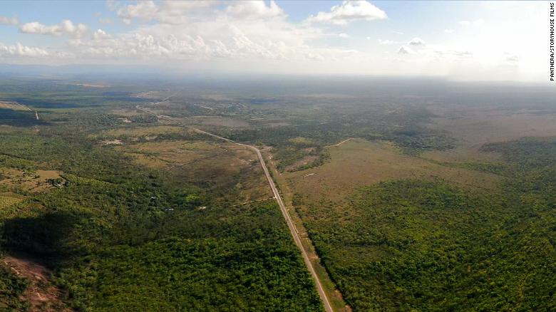 The Maya Forest Corridor lies between two of Central America&#39;s largest wilderness areas. In recent years, humans have developed the area, building highways across it.