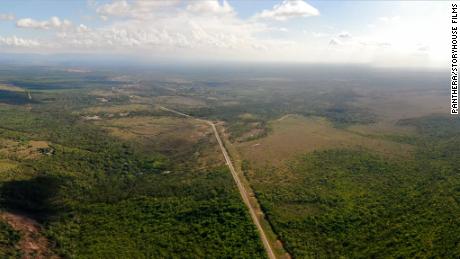The Maya Forest Corridor sits between two of the largest wilderness areas in Central America.  In recent years, humans have developed the area, building roads through it.