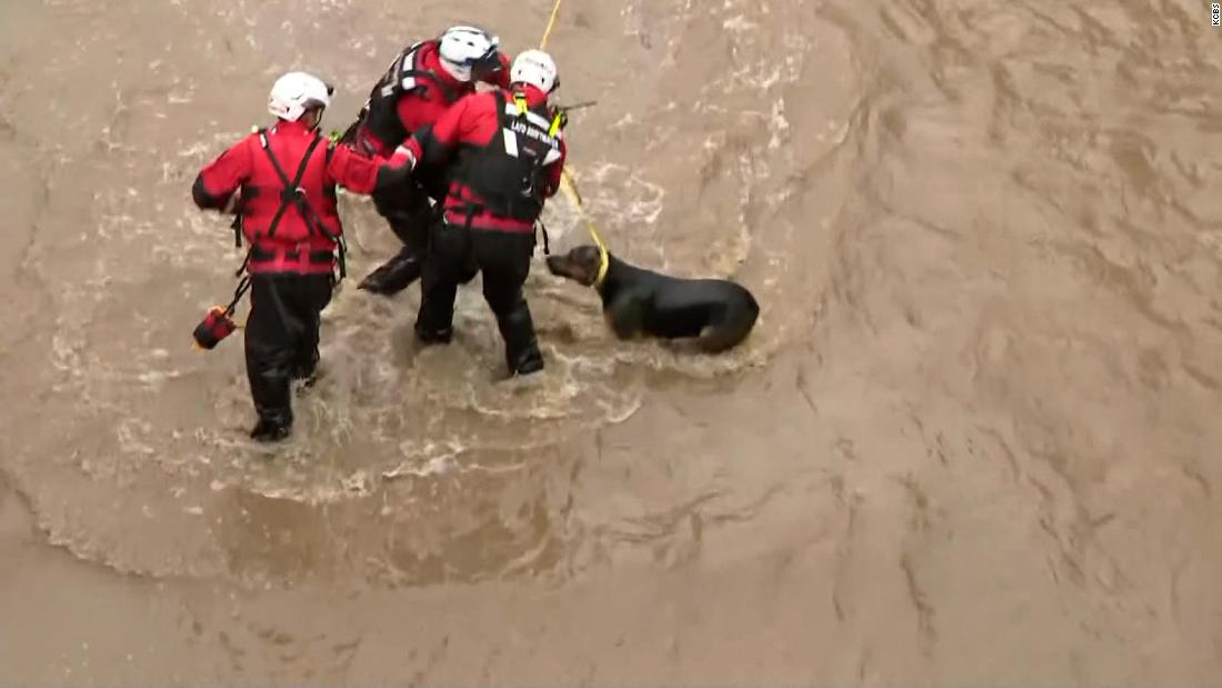 Firefighters rescue dog swept away by Los Angeles flood waters – CNN Video